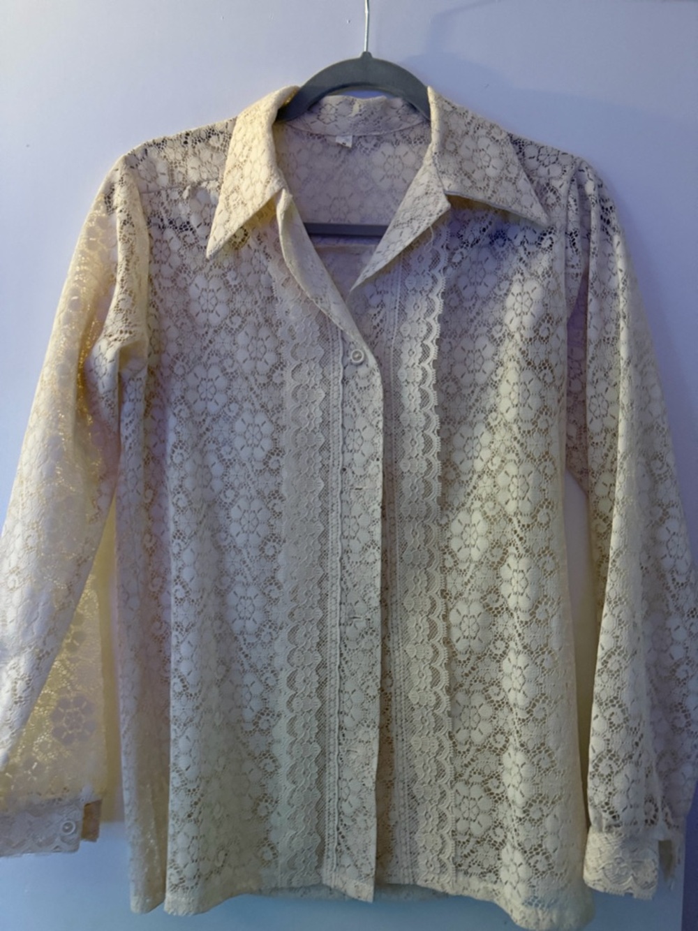 Vintage Cream Lace Long Sleeve Button-Up Blouse